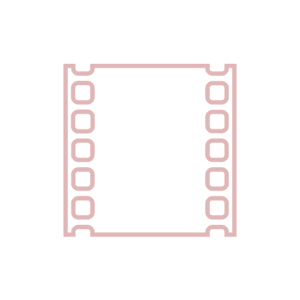 TransPerfect logo