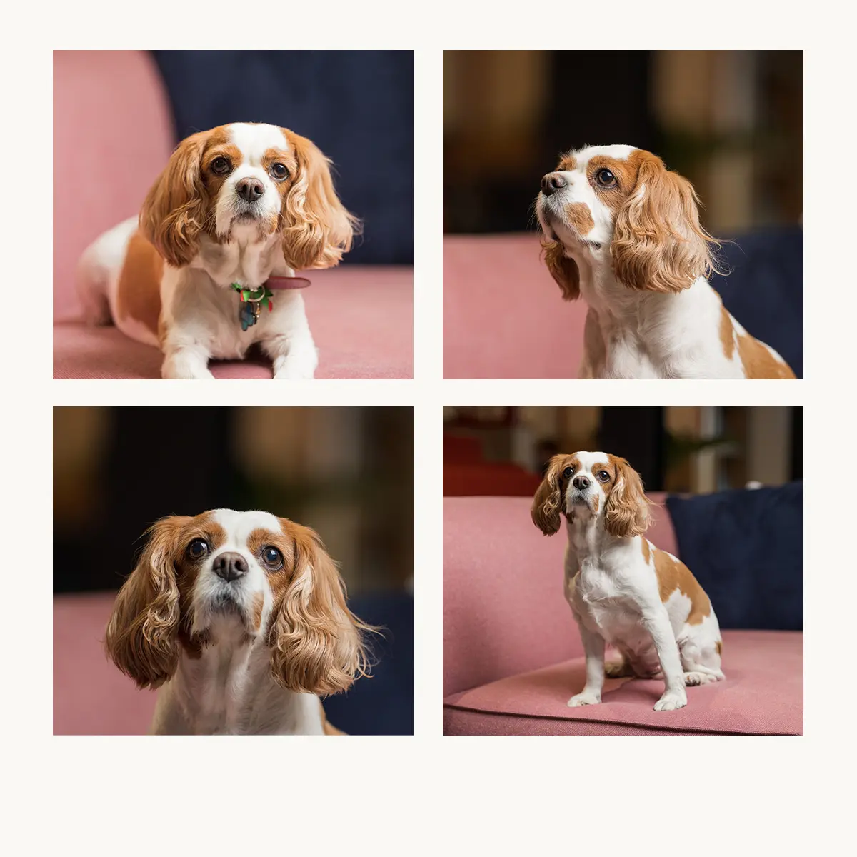 Tilly Farrell, Head of Happiness at Kin London