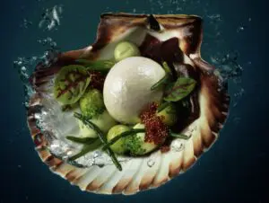 Scallop dish served in the shell at a fine dining event